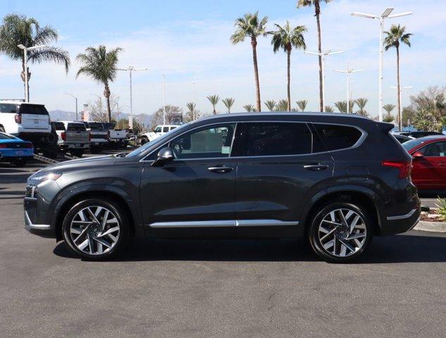 2023 Hyundai SANTA FE Calligraphy